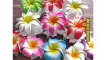 Balinese Tropical Flowers Hair Accessories Clips 